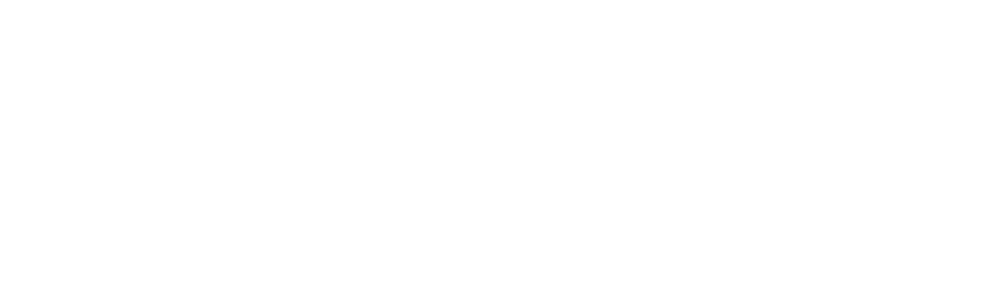 Digital Domain